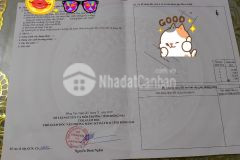 Mùa dich làm ăn thua lỗ nên cần bán gấp lô đất 4x19m2 ngay p.an hoà tp biên hoà