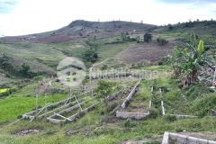 Bán đất mộc châu, siêu đẹp làm trang trại có lên thổ cư