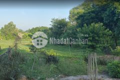 Bán 10.000m2 đất nông nghiệp bình thuận cách ubnd xã bình tân 100m