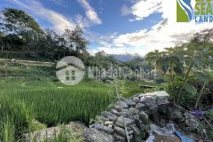 Đất nền mặt tiền tại trung tâm y týsapa2 giá cực sốc