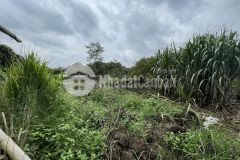 Đất nền nghỉ dưỡng mường sang, mộc châu diện tích 6200m2