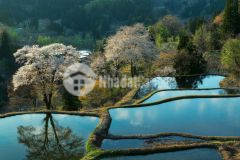 Đầu tư sinh lời siêu tiềm năng, đón đầu sóng quy hoạch sapa 2.