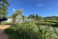 Cần tiền bán gấp mảnh đất s 3800m2, bản vặt, mường sang, mộc châu