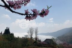 Bán nhanh ô đất thôn mò phú chải y tý, view săn mây, săn tuyết