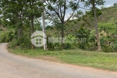 Đất trang trại tại mộc châu đã canh tác chỉ việc khai thác, giá siêu đẹp