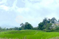 Bán đất sapa 2 y tý view thung lũng, giáp suối, pháp lí rõ ràng