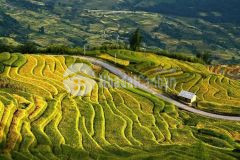 Đất sapa 2, vị trí trung tâm tương lai của y tý