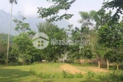 Bán đất cao sơn lương sơn 658m2 giá chỉ vài trăm triệu