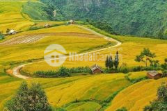 Cc bán mảnh đất view đẹp xuất sắc khu đô thị dl giá cắt lỗ