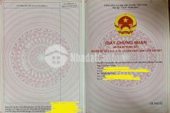 Bán mảnh đất siêu đẹp tại mường sang mộc châu