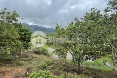 Bán đất nền nghỉ dưỡng mộc châu diện tích 6200m2