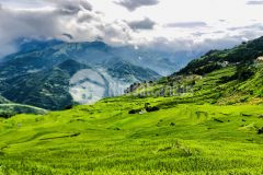 Bán mảnh đất thôn phan cán sử khu vực tiềm năng khu vui chơi giải trí tại sapa 2