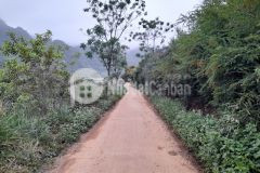 Đất nền nghỉ dưỡng mộc châu, địa điểm siêu đẹp làm homestay,...