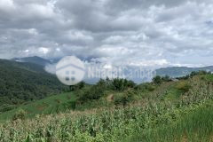 Bán lô đất 6000m tại thôn mò phù chải. mặt tiền 100m,view đẹp