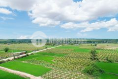 Chỉ 500tr có ngay lô đất bắc bình gần biển hoà thắng sổ sẵn lh hiền