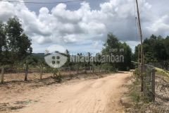 Nền bến tràm phú quốc chỉ từ 300 triệu