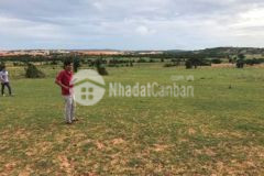 Bán 6396m2 đất vườn phan thanh gần ql1a chỉ 671tr ck đến 5 chỉ