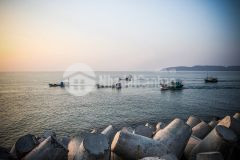 Bán đất nền cô tô, 800 ra bến cảng cô tô, sau lưng là biển