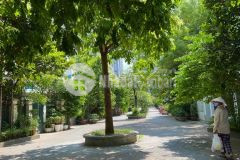 Bán bt kđt mỹ đình sông đà, an sinh, tiện ích, 194m2, mt9m, 28.8tỷ