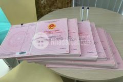 Đất nền hố nai, sát tp biên hoà, cách ql1a 500m. sổ hồng trao tay giá chỉ 999 triệu100m2,