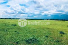 Bán lô đất thị trấn chợ lầu 4200m2 giá bán 120.000đm2 ck 5 chỉ vàng