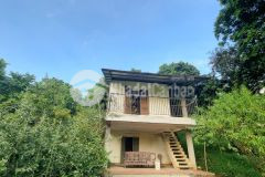 Bán trang trại nghỉ dưỡng 3634m2 view cánh đồng,2 mặt tiền cách hn 40km giá hơn tr