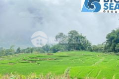 Lô mò phú chải y tý sapa 2 500m2 gần điểm trường thôn