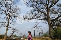 Đầu tư siêu lơi nhuận đất nền sapa 2