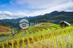 Dự án vàng trong làng đầu tư bđs nghỉ dưỡng.