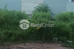 Bán 3 lô đất liền kề nhau lk29 khu đô thị mới đông sơn, phường an hoạch, thành phố thanh hóa