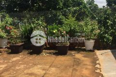 Bán 2 căn nhà đẹp và lô đất tại thành phố buôn ma thuột