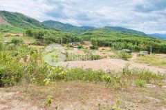 Bán đất nhà gần 7 sào xã khánh phú giá rẻ lh 0788.558.552