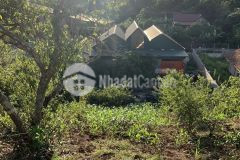 Cc bán mảnh đất chiềng sơn mộc châu vô cùng đẹp giá đầu tư