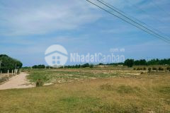 Bán vài lô đất từ 4000m2 1ha bắc bình, bình thuận giá rẻ, ck 10 trên giá bán mùa dịch