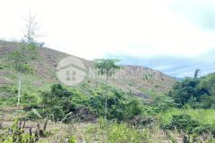 Chỉ hơn 1 tỉ đồng có ngay 3,5ha rừng sản xuất tại kỳ sơn công chứng được luôn trong ngày