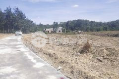 Chỉ với 550tr là có ngay lô đất 1000m2 sổ sẳn công chứng ngay