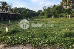 Bán 3 lô liền kề tỉnh lộ 7, thái mỹ, củ chi, full thổ cư, 1,35 tỷlô 0949179000