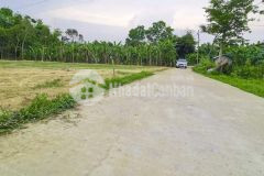 Bán đất diện tích rộng phù hợp xây nhà vườn biệt thự