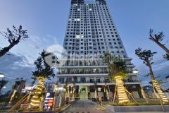 Căn hộ ecolife nóng từng ngày sinh lợi từng giờ