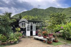 Bán đất diên tân, có nhà vườn, có vườn trái cây view đẹp