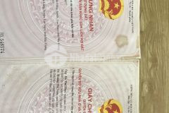 Bán lô đất 180m2,mặt đường quốc lộ 37, lô góc dưới quỳnh độ,sổ đỏ đầy đủ.