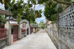 Bán đất kiệt oto huỳnh thúc kháng tp đông hà