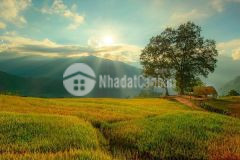 03 lô đất liền kề gần 1200m tại trung tâm du lịch y tý sapa2 liên hệ 0822356688