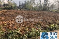 Đất nền nghỉ dưỡng sapa giảm giá sau covit 19