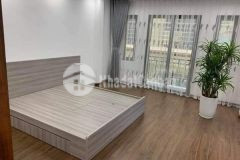 Hạ 700 triệu, bán gấp nhà đa sỹ, ô tô qua cửa, 45m2, giá 3 tỷ.