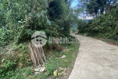 Dành cho nđt thích kinh doanh du lịch mảnh đất 655m2 thuộc y tý sapa 2