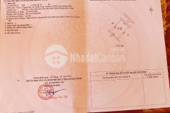 Bán 240m2 đất thổ cư huyện lệ thủy, quảng bình, shr, chỉ 1.2 tỷ. lh0788903075.