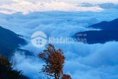 Bán đất nền sapa 2, khai thác du lịch 4 mùa,khoảng 1000m2