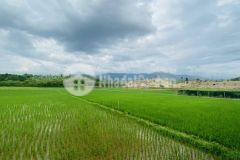 Đất siêu rẻ lương sơn, hòa bình 2000m2, giá 5,5 tỷ