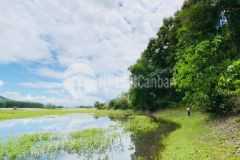 Bán đất gần khu du lịch hồ cây sung làm nhà vườn giá rẻ lh 0788.585.552